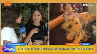 Roban perrito de contención a niña de 13 años: pareja salió corriendo con mascota