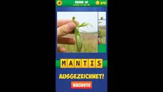 4 Bilder 1 Wort: Gro&szlig;aufnahme - Ebene 10
