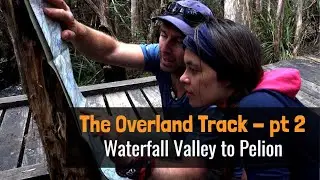 The Overland Track - Part 2 - Waterfall Valley to Pelion
