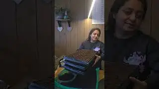 Sowing chili seeds indoor (jan 2026)