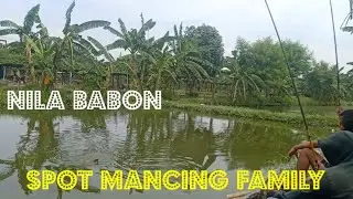 spot mancing legend bersama keluarga- kp alami surabaya