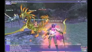 Ffxi commentary