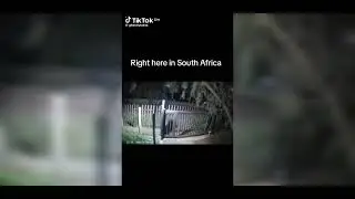 Ghost Entity caught on camera!😨