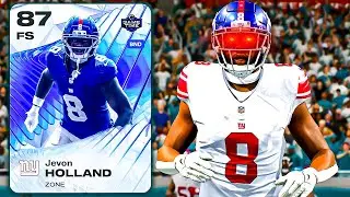 The Dolphins Theme Team Is ELITE!