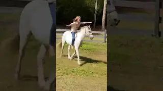 Every kids dream  #horsefunny  #horselife #familyfun #farmlife  #homeschooling #thisishomeschool