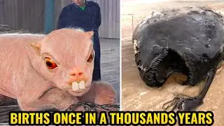 10 Rare Baby Animal Births at the Center | The Most Extreme Births In The Animal Kingdom