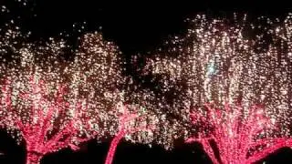 Highland Park Christmas Lights Limousine tours offered by DFW Dallas Limo Service