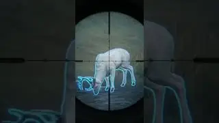 Some of my favorite shots on whitetail🦌💎 GREAT ONE Grind - TheHunterCallOfTheWild