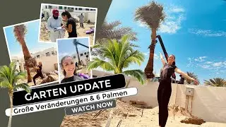 Garten Update -Große Veränderungen und ein wahr gewordener Kindheitstraum - Folge 3