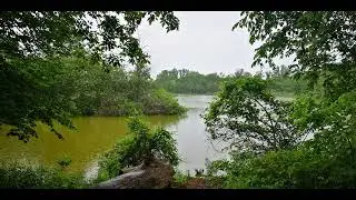 Qerm&icirc;n     - Lake Chipican  Sarnia Ontario 2022