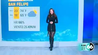 Syria Yeminia December 23, 2025