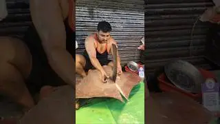 Biswajit 🔥Subir Das|Epic 52kg Stingray Cutting Skills Unleashed!|biswajitcreation