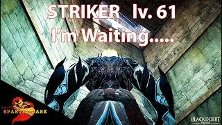 BDO STRIKER - LV 61 - RBF HAVING FUN