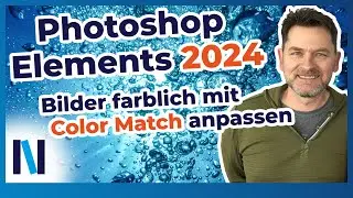 Photoshop Elements 2024: Mit der neuen Funktion Color Match tolle Farblooks in Fotos erstellen