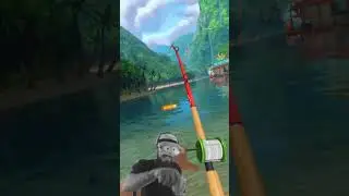 Pescaria em realidade virtual sem sair de casa - Pesquei um peixe colorido que parece um papagaio
