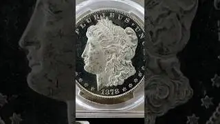 WATCH OUT for sellers like these! PL? DMPL? Cameo? #numismatics #silverdollar #coincollecting