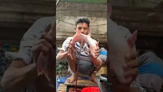 Amazing Pangas Fish Cutting Expert Live In Fish Market | Fish Cutting Skills