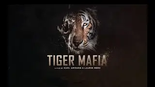 The Tiger Mafia  / Switzerland / Kenya / Germany / 2016 / 90 MIN