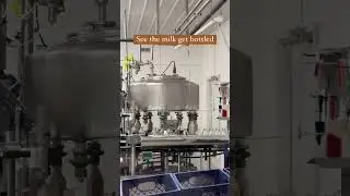 My family loves Shatto milk, butter, and cheese curds, so when I heard there was a tour we could