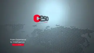 CESO Development Consultants