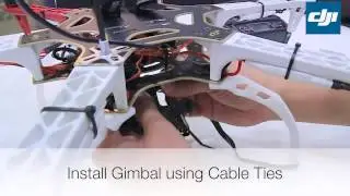 DJI F550 Naza V2 RTF Quick Start Guide - RC Helicopter With Camera