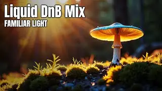 Familiar Light 🌅 | A Cinematic Liquid Drum & Bass Experience [1 Hour | 4K]