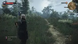 I defeated the CARETAKER in Death March: The Witcher 3