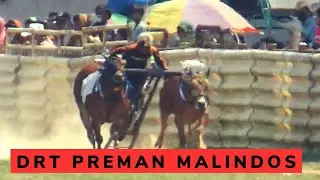 AKSI MENGERIKAN  NO 9  DRT PREMAN MALINDOS