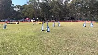 Manly trial Posh 2022