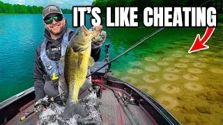 The BEST Big Bass Pattern Everyone Misses!