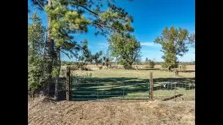 00 Fm 1651 | Canton Real Estate