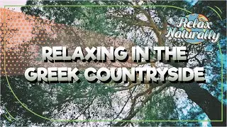 Relaxing in the Greek Countryside - Forest - Trees - Birds