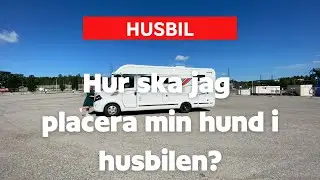 Hur ska jag placera min hund i husbilen?