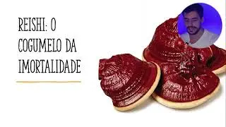 REISHI: o que é o 
