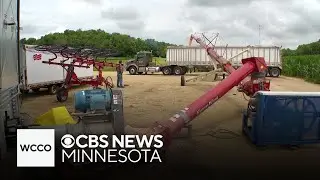 How farmers could benefit from Trump's 
