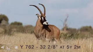 Y 762 - 32 2/8