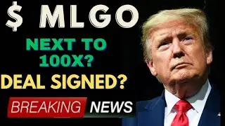 MLGO Stock - MicroAlgo Inc Stock Breaking News Today | MLGO Stock Price