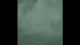 Captain Jack Sparrow found surfing in Hurricane Irma