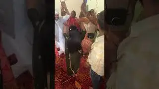 Siri Durga Bhavani Mandir Sultanpur Lodi Pandit Lal Chand Sharma Ji ￼