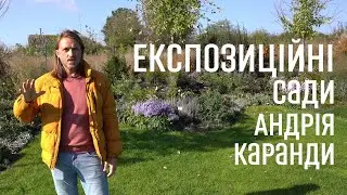 ЛАНДШАФТНИЙ ДИЗАЙН | ВИСТАВКОВІ САДИ РОЗСАДНИКА