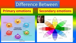 Differences Between Primary Emotions and. Secondary Emotions