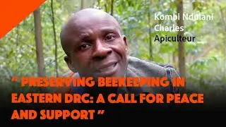 Preserving Beekeeping in Eastern DRC: a call for peace and support
