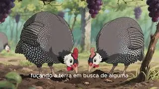 As Angolas salvaram o dia
