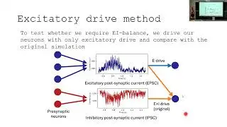 Cluster dynamics in recurrent spiking networks explain the high variability of cortical activity