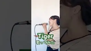 #Tiger #hana #歌ってみた #palettes #きてみて扶桑2025