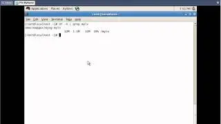 SADS: Resizing LV (Logical Volume)