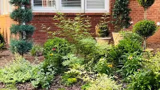 COTTAGE GARDEN AND NURSERY UPDATES! // MY SOUTHERN GARDEN