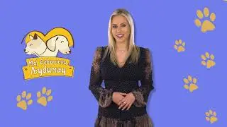 Moj savršeni ljubimac ep. 72 02.11.2020. Čivava, Dušan Paunović