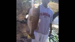 TheBasstimes  Huge 8lbs Bass On ZipperWorms