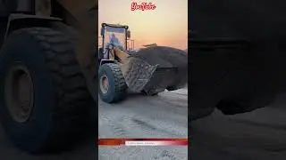 299 | A big wheel loader is loading stone dust into a 10-wheel tipper. #loader